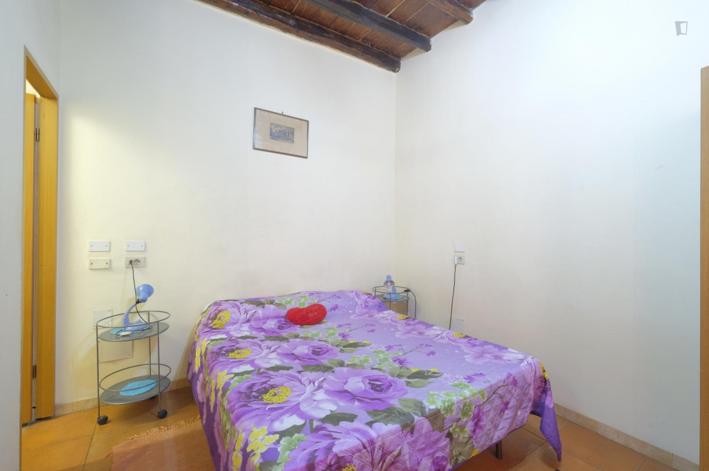 studio one bedroom apartment kitchen with kitchen and shower Monti near Colosseo