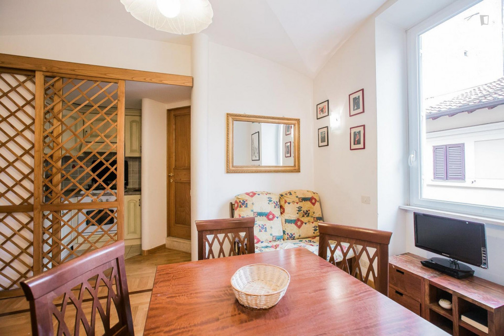 Enjoyable 1-bedroom apartment near Castel Sant'Angelo