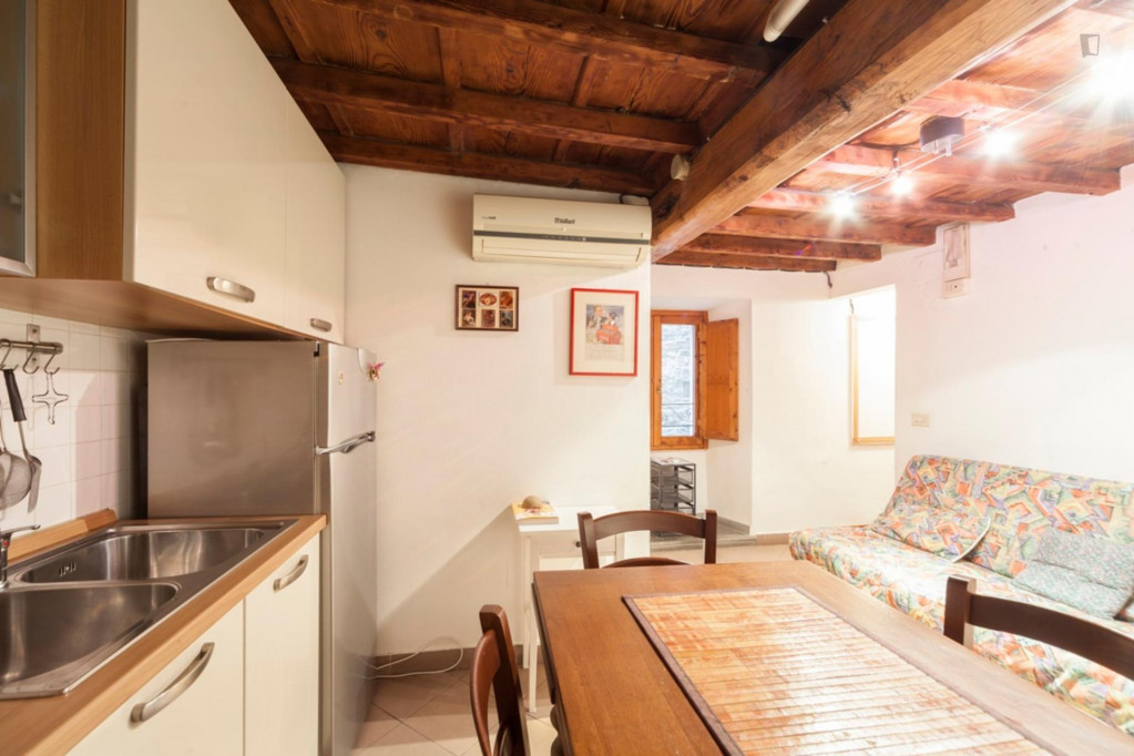 Cozy 1-bedroom apartment near Ponte Vecchio