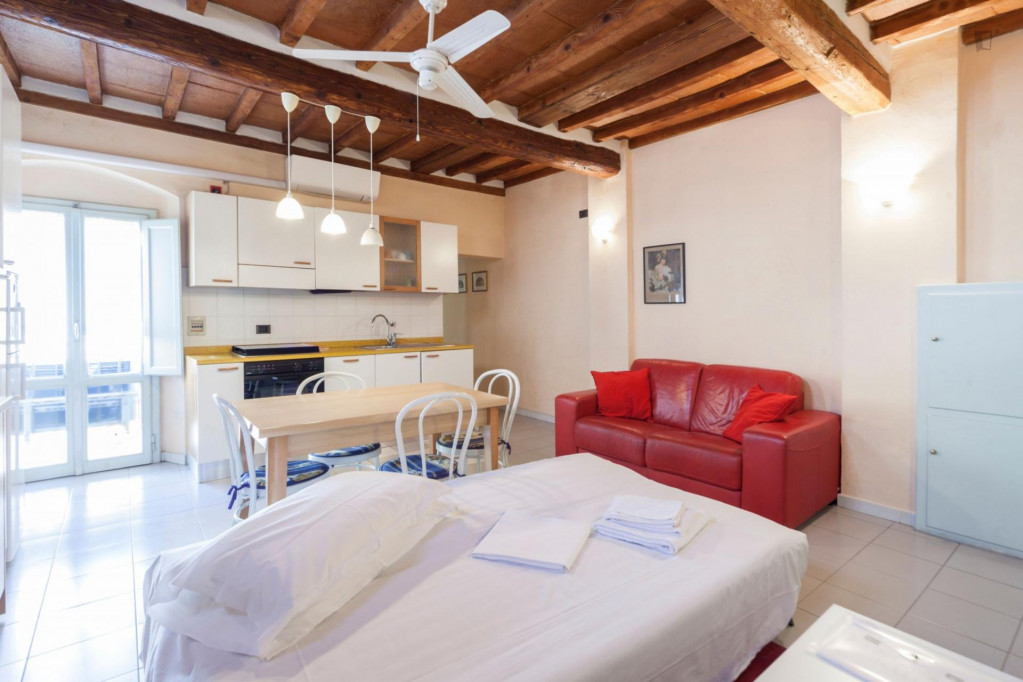 Fantastic 2-bedroom apartment near Basilica di Santa Croce di Firenze