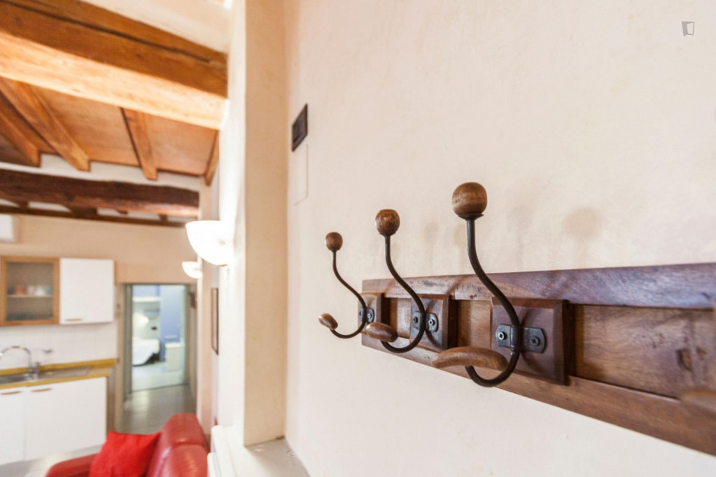 Fantastic 2-bedroom apartment near Basilica di Santa Croce di Firenze