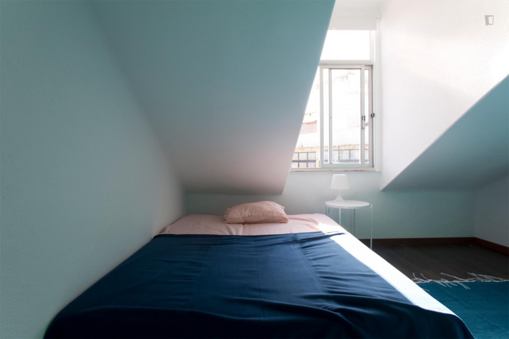 Striking single bedroom next to Instituto Superior de Agronomia