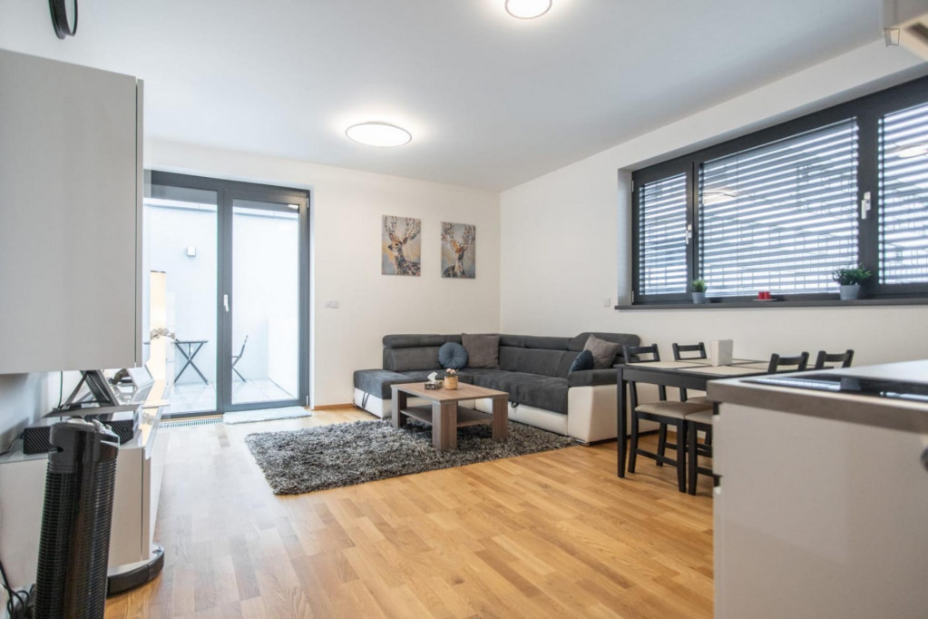 Bright 1-bedroom apartment near Dělnická tram stop