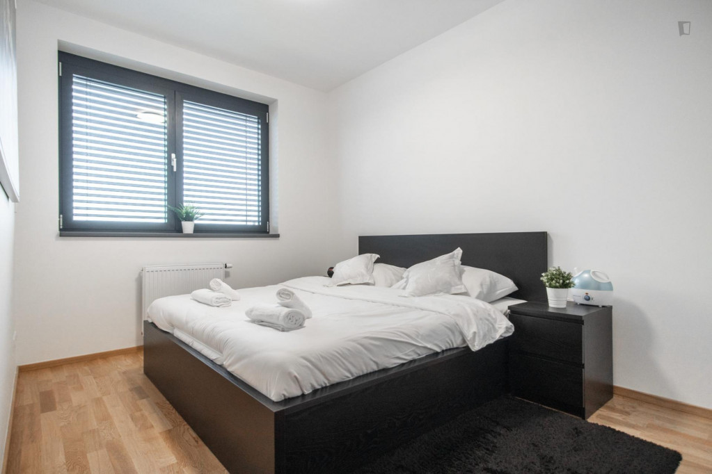 Bright 1-bedroom apartment near Dělnická tram stop