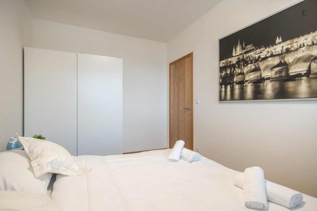 Bright 1-bedroom apartment near Dělnická tram stop