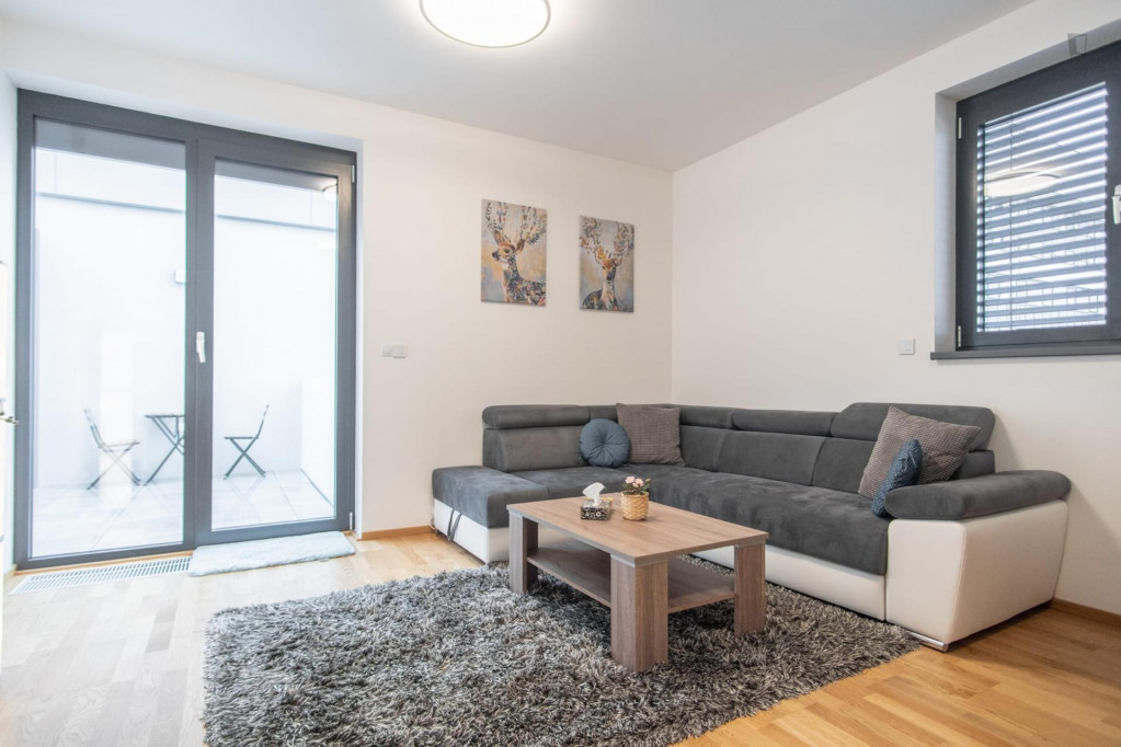 Bright 1-bedroom apartment near Dělnická tram stop