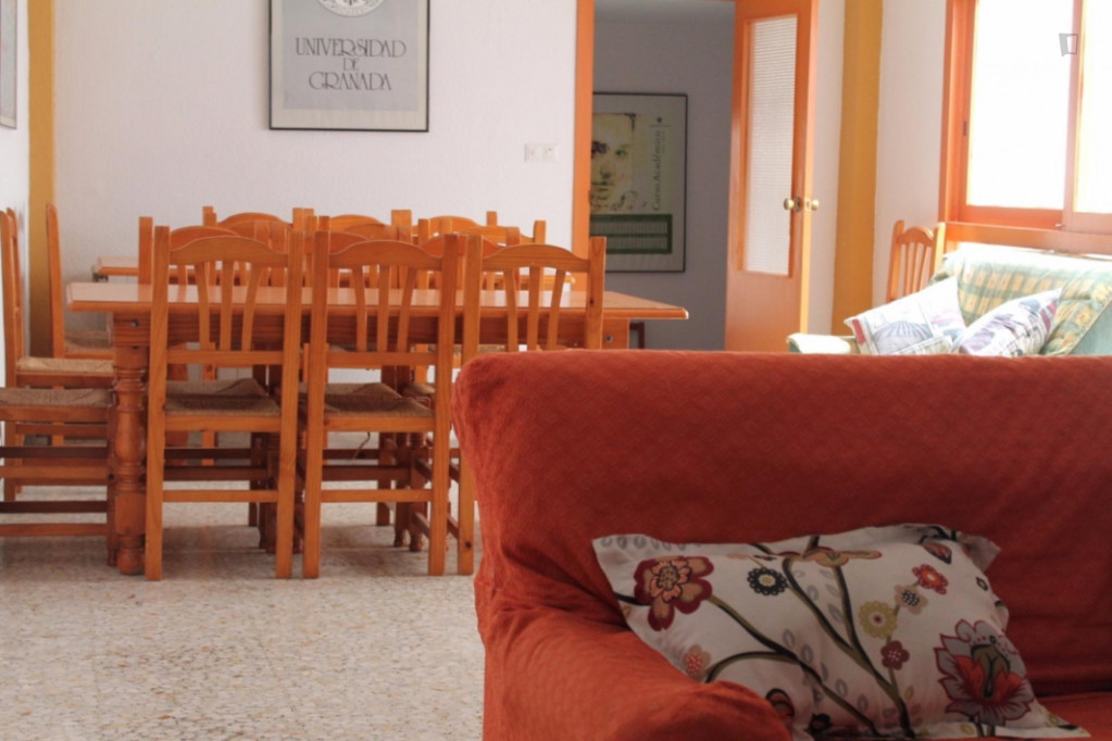 Great single bedroom near the Facultad de Derecho