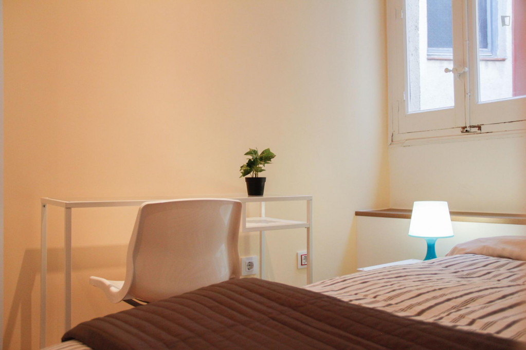 Enjoyable single bedroom in the central Lavapiés neighbourhood