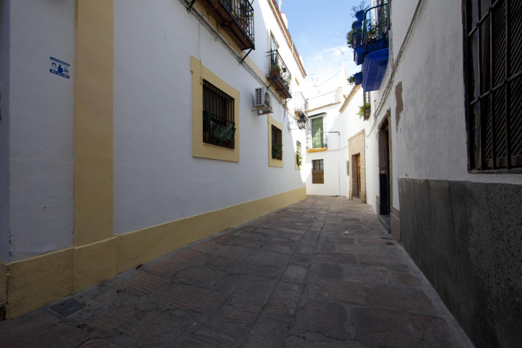 Simple single bedroom in proximity to Mezquita-catedral de Córdoba