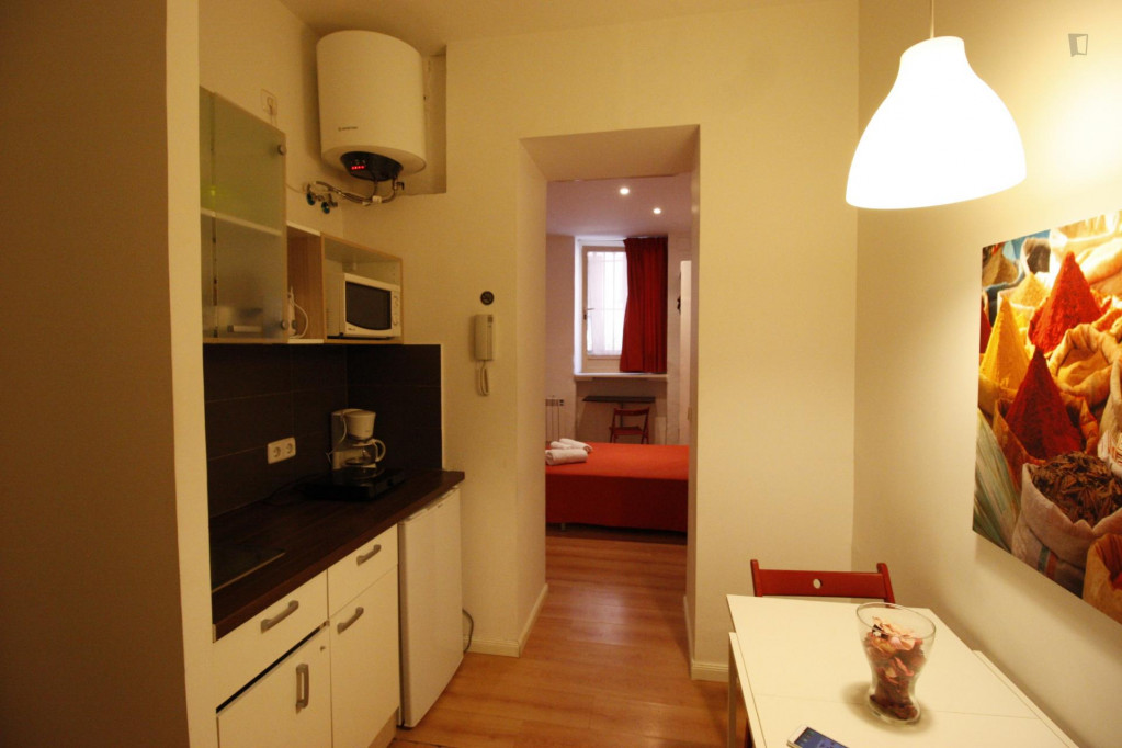 Pleasant one-bedroom apartment in central Letras